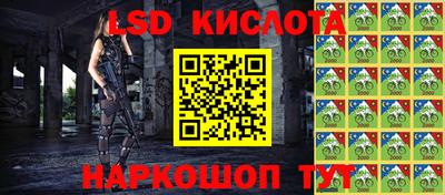 ГАЛЛЮЦИНОГЕННЫЕ ГРИБЫ Кингисепп