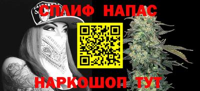 ГАЛЛЮЦИНОГЕННЫЕ ГРИБЫ Кингисепп