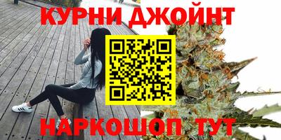 ГАЛЛЮЦИНОГЕННЫЕ ГРИБЫ Кингисепп