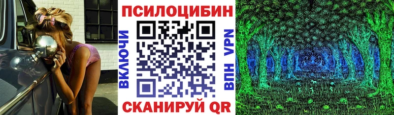 купить   Шебекино  Галлюциногенные грибы прущие грибы 