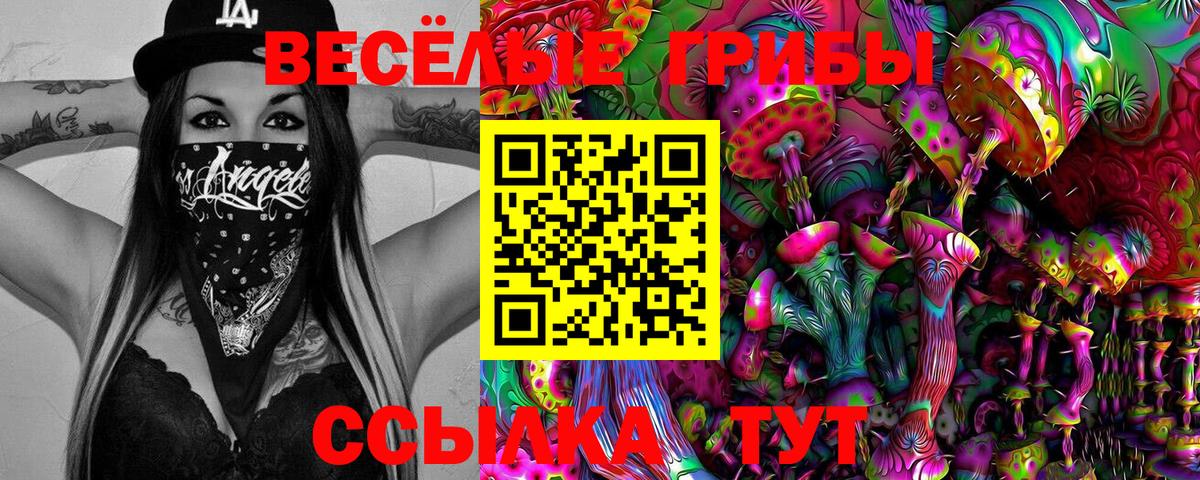 Галлюциногенные грибы GOLDEN TEACHER  закладки  Шебекино 