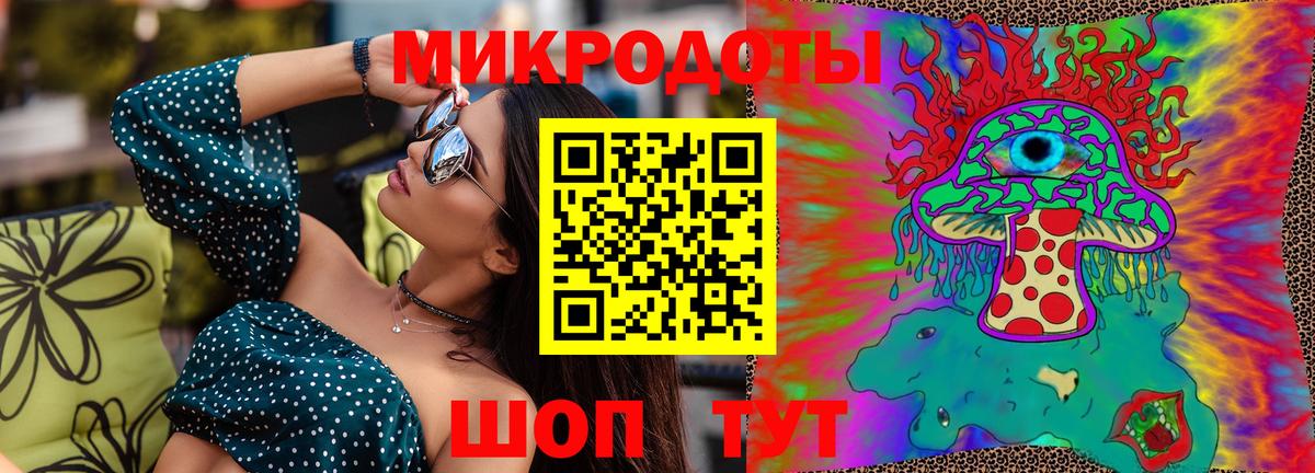 Галлюциногенные грибы Psilocybe Шебекино