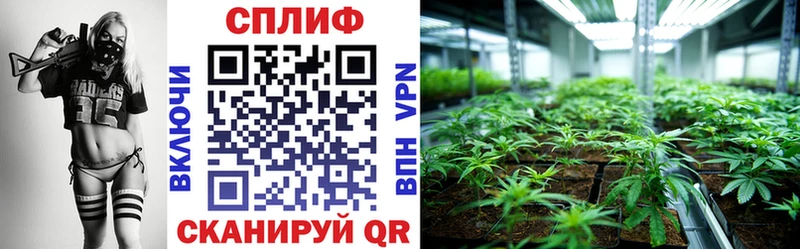 Шишки марихуана VHQ Шебекино
