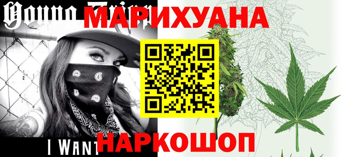 Канабис конопля Шебекино